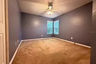 24449 Painter Dr, Land O Lakes, FL 34639 - Photo 25