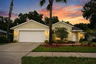 24449 Painter Dr, Land O Lakes, FL 34639 - Photo 1