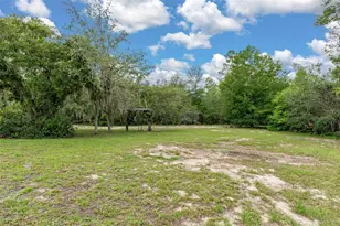 7335 Blackbird Ave, Weeki Wachee, FL 34613 - Photo 47