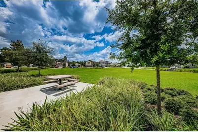 6376 Spider Lily Way, New Port Richey, FL 34653 - Photo 87
