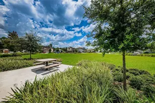 6376 Spider Lily Way, New Port Richey, FL 34653 - Photo 87