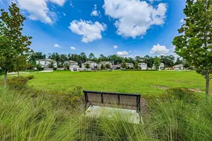 6376 Spider Lily Way, New Port Richey, FL 34653 - Photo 89