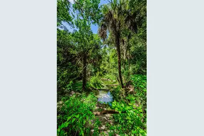 6376 Spider Lily Way, New Port Richey, FL 34653 - Photo 93