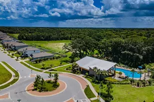6376 Spider Lily Way, New Port Richey, FL 34653 - Photo 63