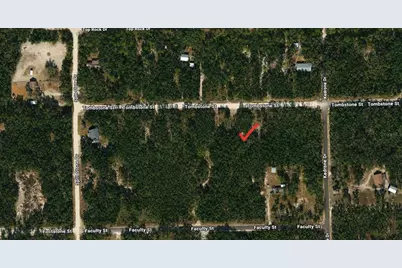 33240 Tombstone Street, Webster, FL 33597 - Photo 3