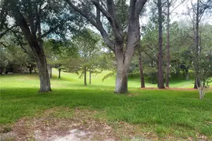 259 Center Oak Cir, Spring Hill, FL 34609 - Photo 29