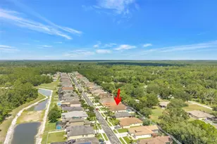 27405 Sora Blvd, Wesley Chapel, FL 33544 - Photo 97