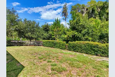 2948 Murray Pass, Odessa, FL 33556 - Photo 49