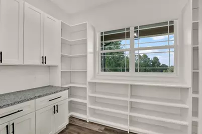35940 Ramsey Ridge Drive, Dade City, FL 33523 - Photo 11