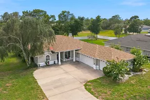 13194 Roseanna Dr, Spring Hill, FL 34609 - Photo 65