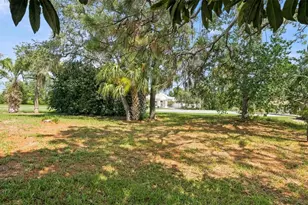 13194 Roseanna Dr, Spring Hill, FL 34609 - Photo 61