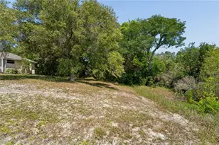6381 Pinehurst Dr, Spring Hill, FL 34606 - Photo 43