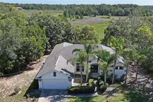 6381 Pinehurst Dr, Spring Hill, FL 34606 - Photo 33