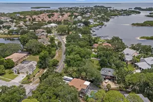 1410 Riverside Dr, Tarpon Springs, FL 34689 - Photo 77