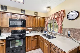15041 Camrose Ave, Spring Hill, FL 34610 - Photo 23