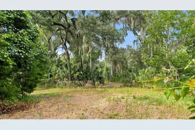 0 Cedar Lane, Brooksville, FL 34601 - Photo 3