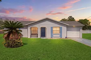 1393 Hathaway Ave, Spring Hill, FL 34608 - Photo 1