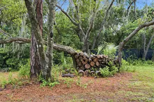 6706 Waldorf Ct, New Port Richey, FL 34655 - Photo 51