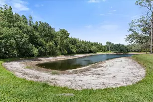 5100 Burchette Rd, Tampa, FL 33647 - Photo 21