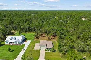12413 Hooker Rd, Weeki Wachee, FL 34614 - Photo 13