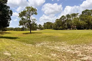 5561 Legend Hills Ln, Spring Hill, FL 34609 - Photo 49