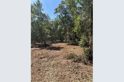 450 Old Geneva Road, Geneva, FL 32732 - Photo 17