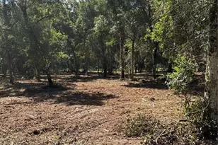 450 Old Geneva Rd, Geneva, FL 32732 - Photo 17