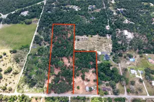 450 Old Geneva Rd, Geneva, FL 32732 - Photo 21
