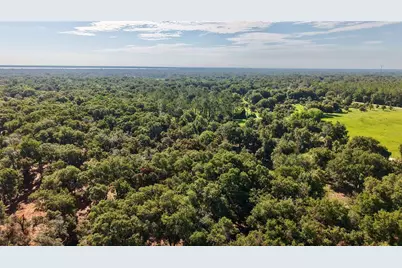 450 Old Geneva Road, Geneva, FL 32732 - Photo 13