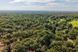 450 Old Geneva Rd, Geneva, FL 32732 - Photo 13