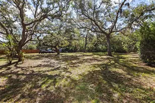10221 Osceola Dr, New Port Richey, FL 34654 - Photo 51