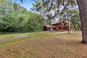 10221 Osceola Dr, New Port Richey, FL 34654 - Photo 61