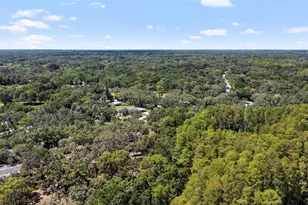 10221 Osceola Dr, New Port Richey, FL 34654 - Photo 67