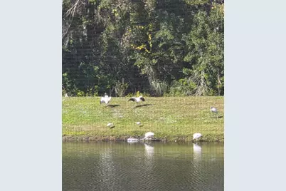 [Address not provided], Tarpon Springs, FL 34689 - Photo 45