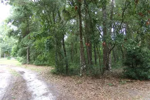 12199 SW 44th Dr, Webster, FL 33597 - Photo 43