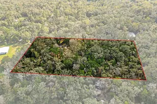12047 Timber Ln, Brooksville, FL 34601 - Photo 3