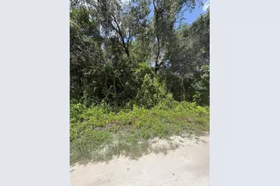 Spare Drive, New Port Richey, FL 34654 - Photo 1