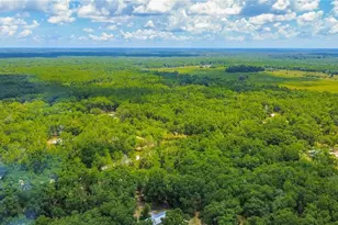 [Address not provided], High Springs, FL 32643 - Photo 39