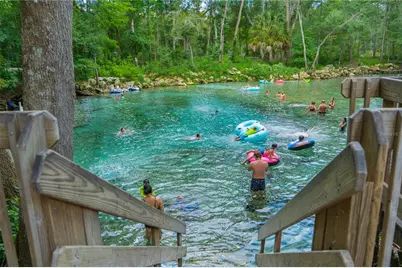 [Address not provided], High Springs, FL 32643 - Photo 45