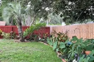 3419 Paloma Dr, Holiday, FL 34690 - Photo 3