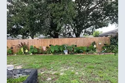 3419 Paloma Drive, Holiday, FL 34690 - Photo 15