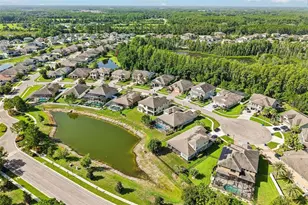 19529 Hayden Lake Ct, Land O Lakes, FL 34638 - Photo 77