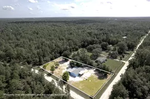 7491 NE 101st Ct, Bronson, FL 32621 - Photo 3