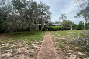 425 Craig Dr, Tarpon Springs, FL 34689 - Photo 23