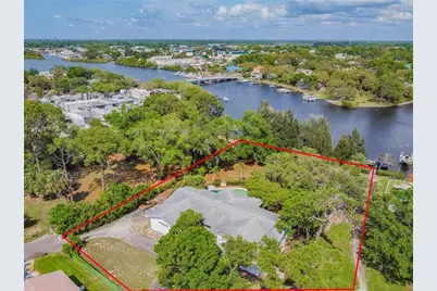 425 Craig Drive, Tarpon Springs, FL 34689 - Photo 3