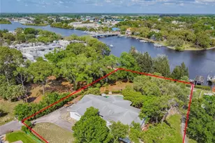 425 Craig Dr, Tarpon Springs, FL 34689 - Photo 3