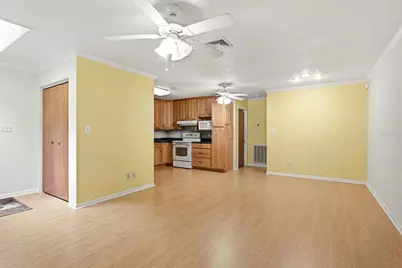 37107 Bailey Hill Drive, Dade City, FL 33525 - Photo 9