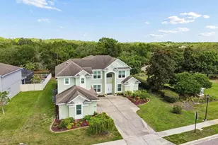 13800 Crest Lake Dr, Hudson, FL 34669 - Photo 79