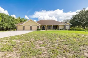 343 Royal Palm Way, Spring Hill, FL 34608 - Photo 7