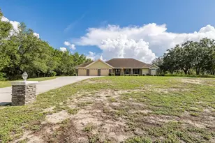 343 Royal Palm Way, Spring Hill, FL 34608 - Photo 65